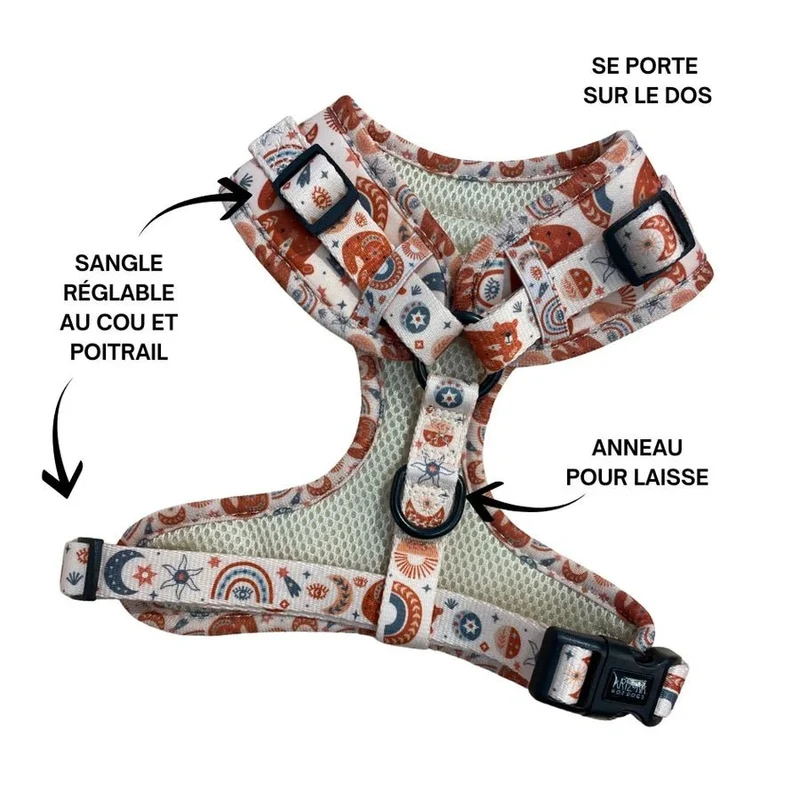 Harnais en H pour chien Luna Bear 🐻 Douceur & confort