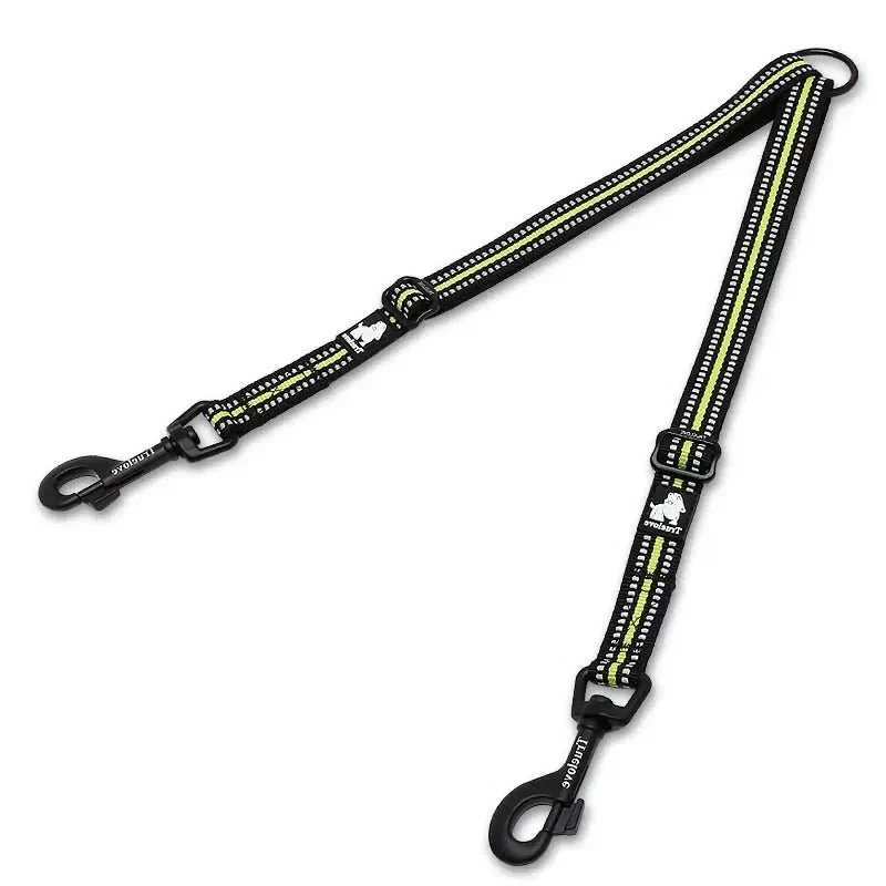 Laisse double chien de chasse