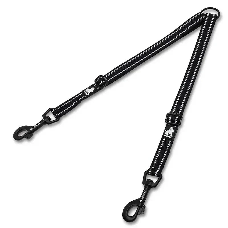 Laisse double chien de chasse