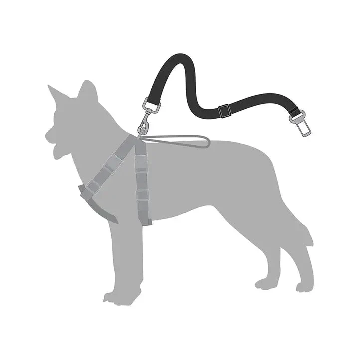 Ceinture de sécurité pour chien réglable Croci 🚗