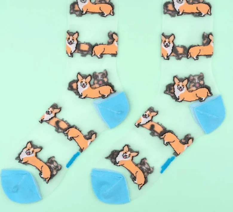 Chaussettes transparentes à motifs Corgi Coucou Suzette 🐾