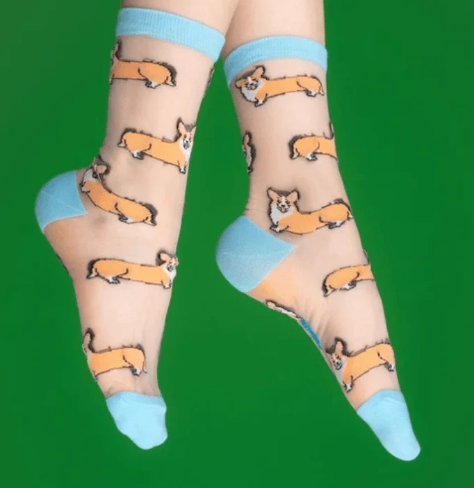 Chaussettes transparentes à motifs Corgi Coucou Suzette 🐾