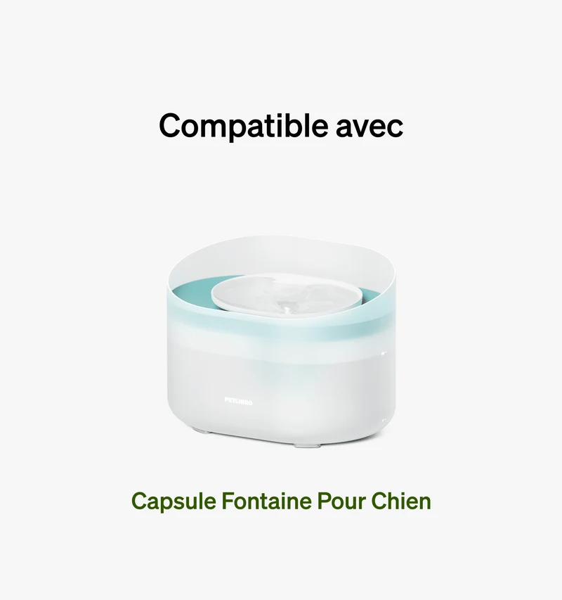 Filtre de rechange pour fontaine pour chien Capsule