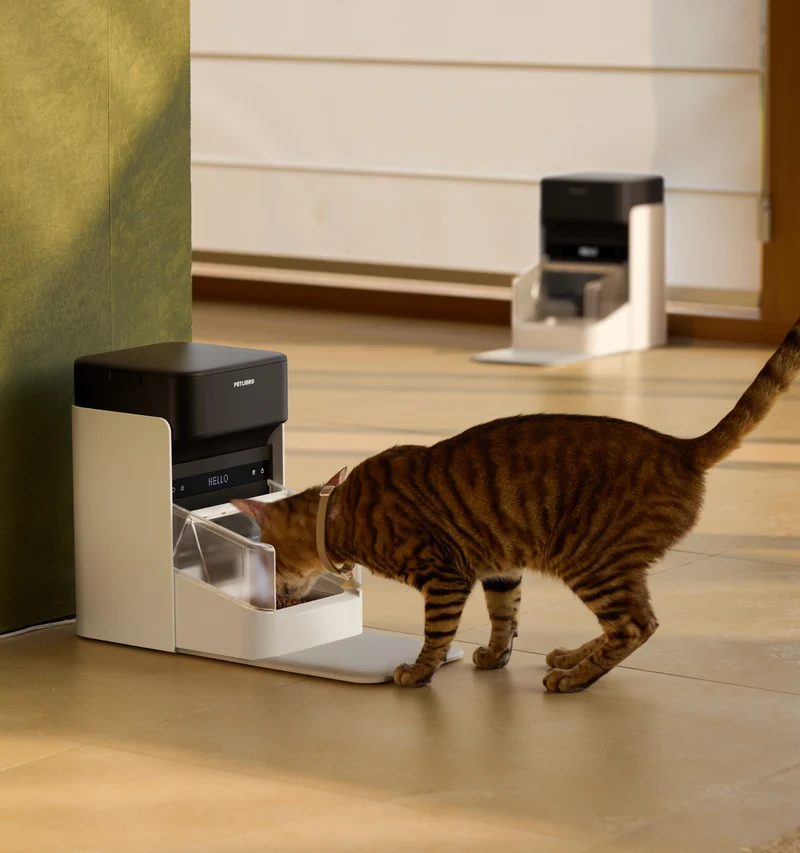 One RFID distributeur pour animaux