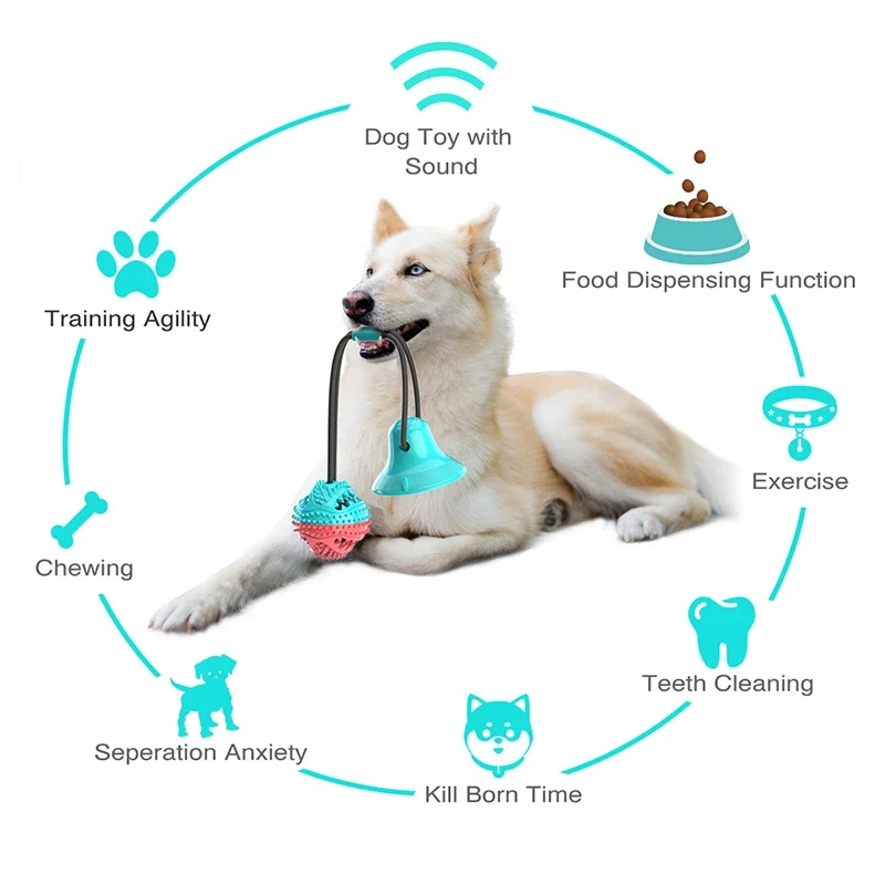 Jouets pour Grands Chiens - Balle avec Ventouse et Corde