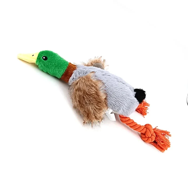 Canard pour chien