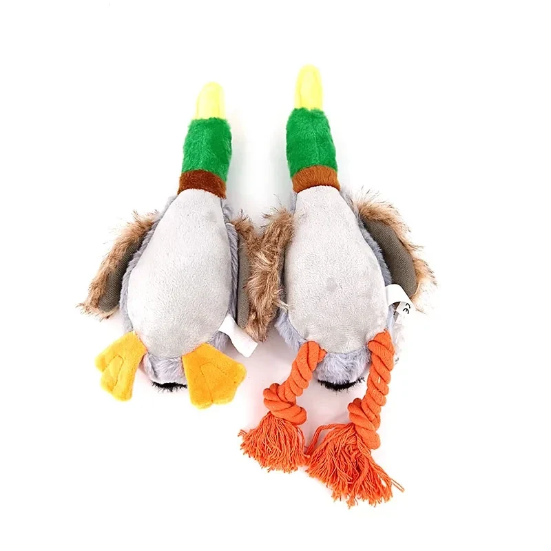 Canard pour chien