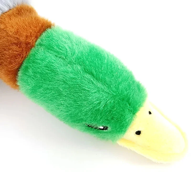 Canard pour chien