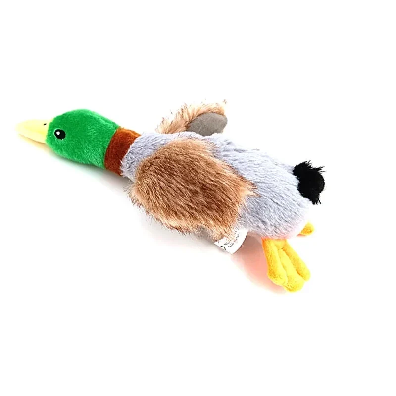 Canard pour chien