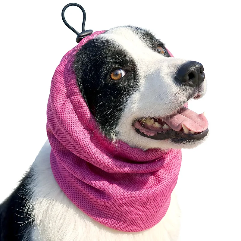 Snood quotidien pour cocker