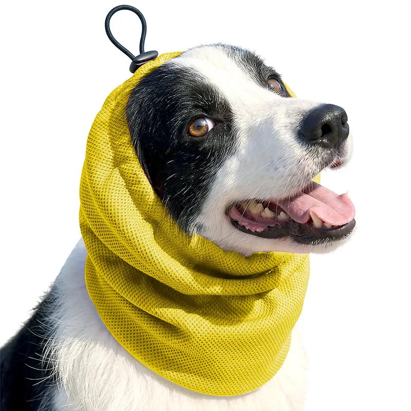 Snood quotidien pour cocker