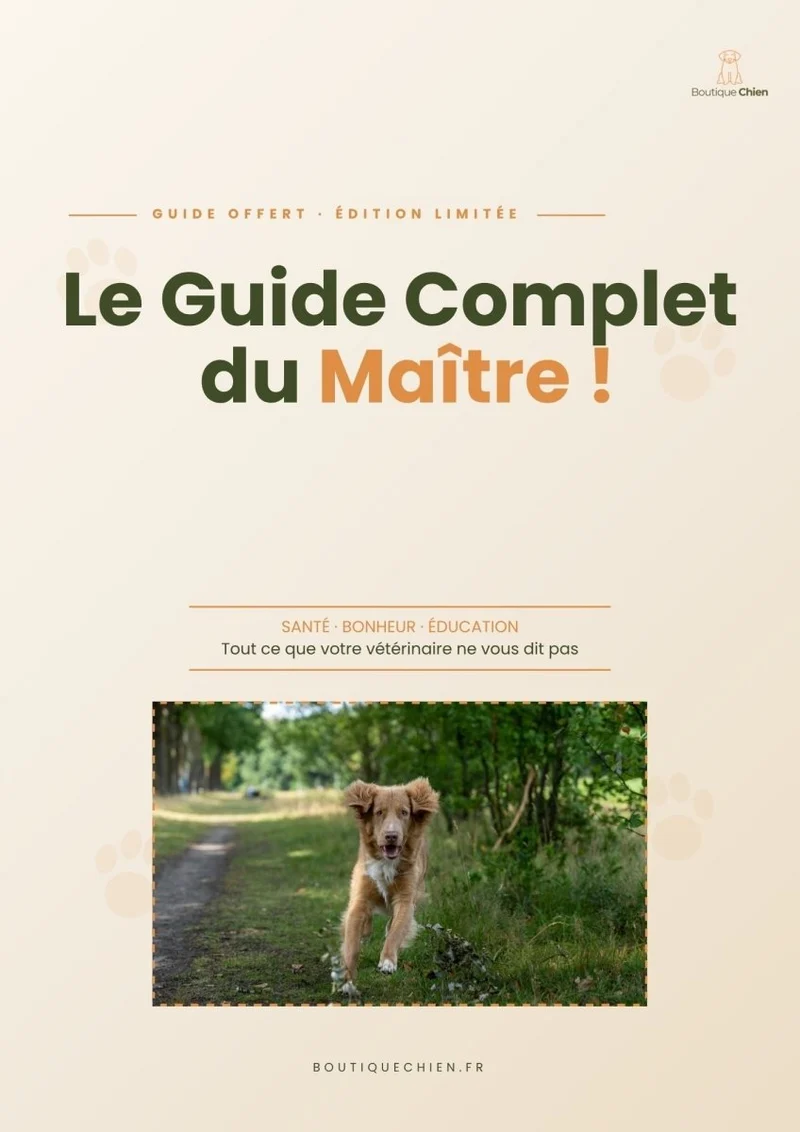 E-book: Le Guide Complet du Maître !