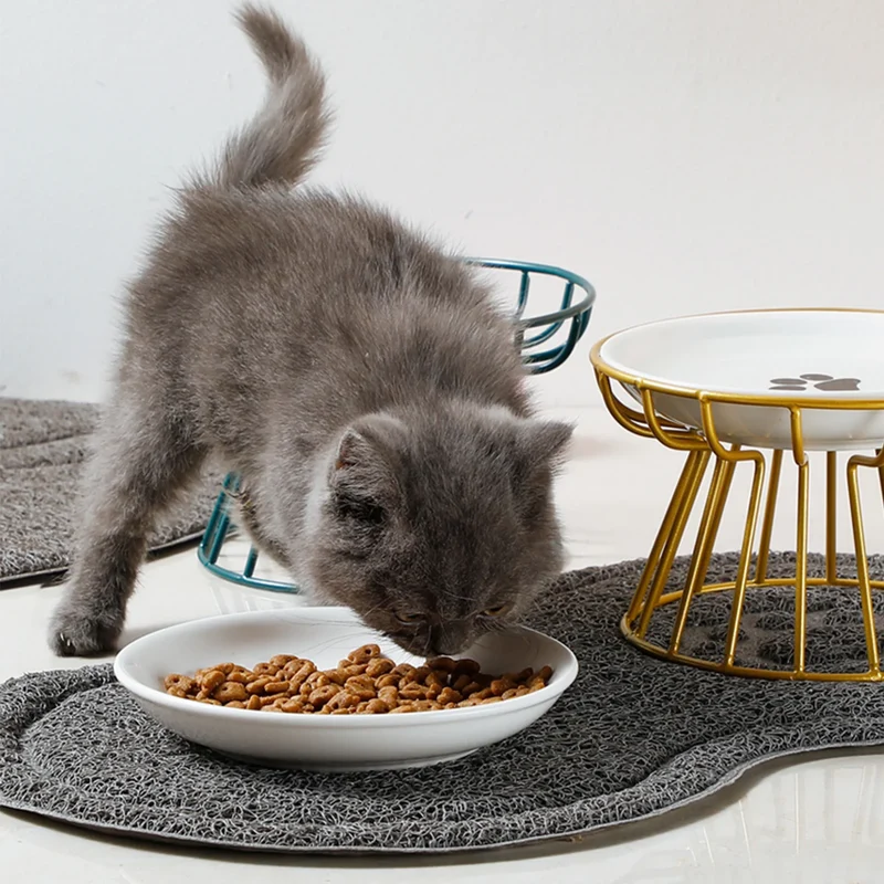 Bol en céramique pour chat