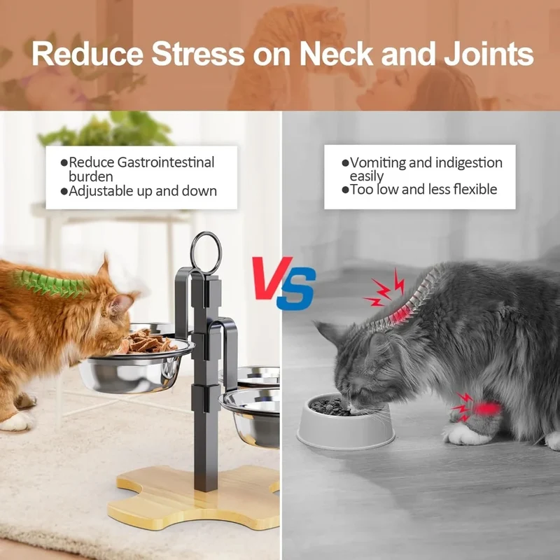 Ensemble d'alimentation et de boissons à hauteur réglable pour chats