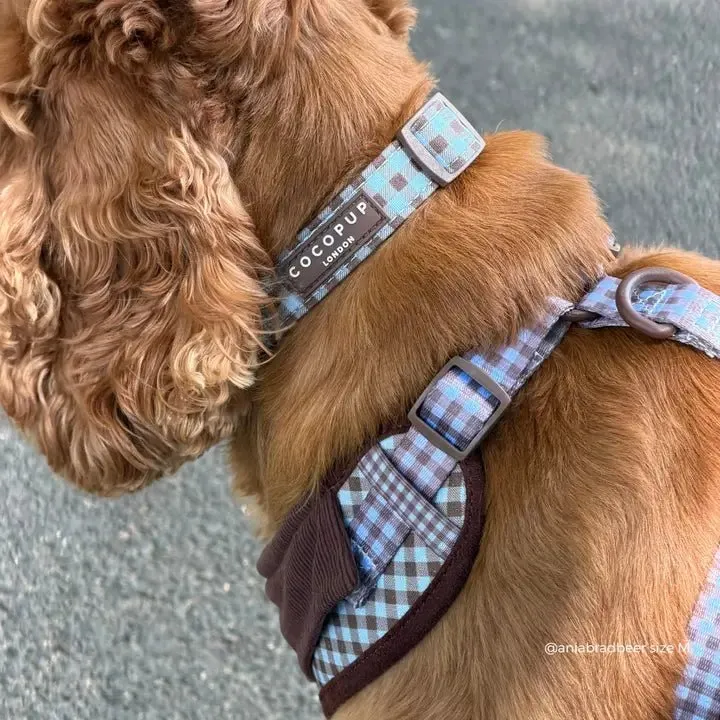Collier pour chien à carreaux Chelsea Check CocoPup London