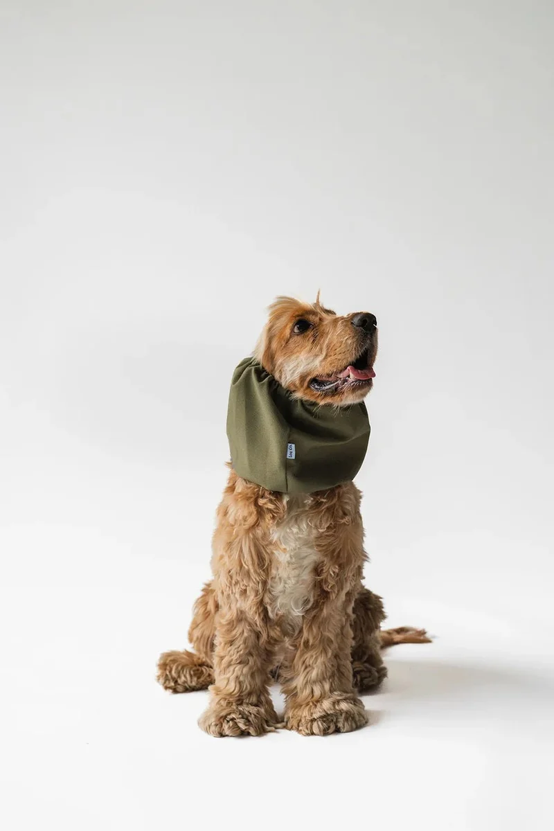 Snood chien imperméable Vert Lou & Co – Balades protégées 🌧️
