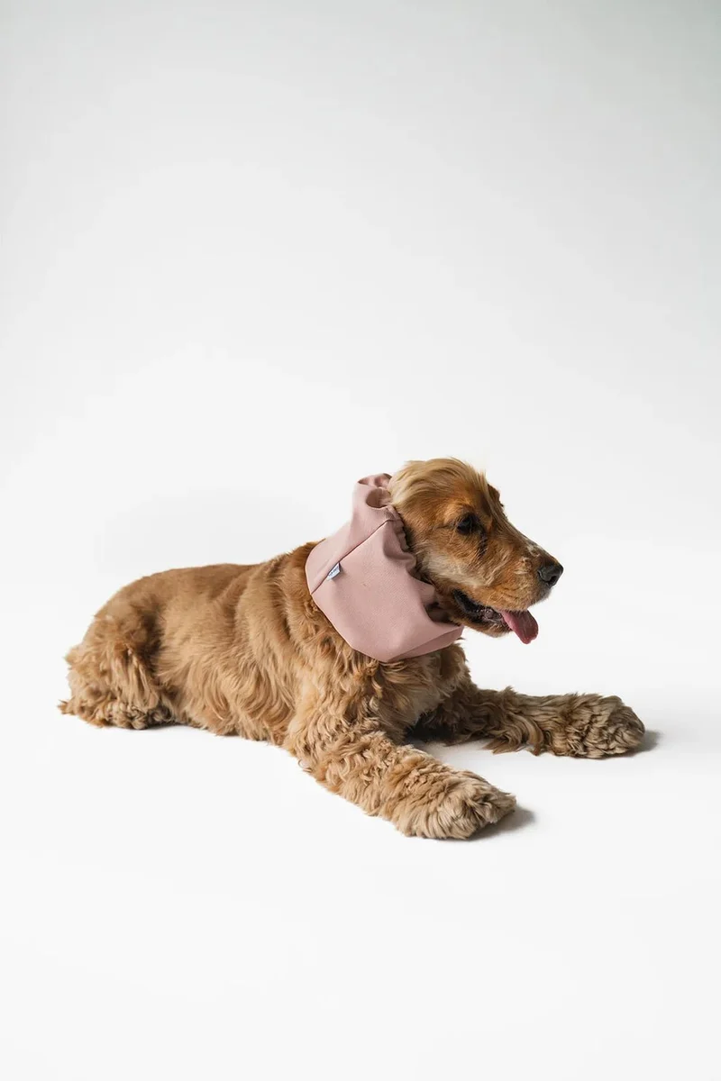 Snood chien imperméable Vieux Rose Lou & Co – Chic 🌧️