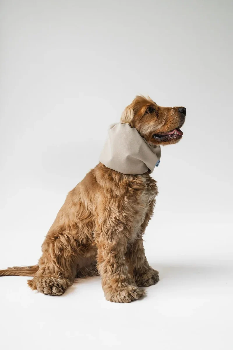 Snood chien imperméable Beige Lou & Co 🌧️