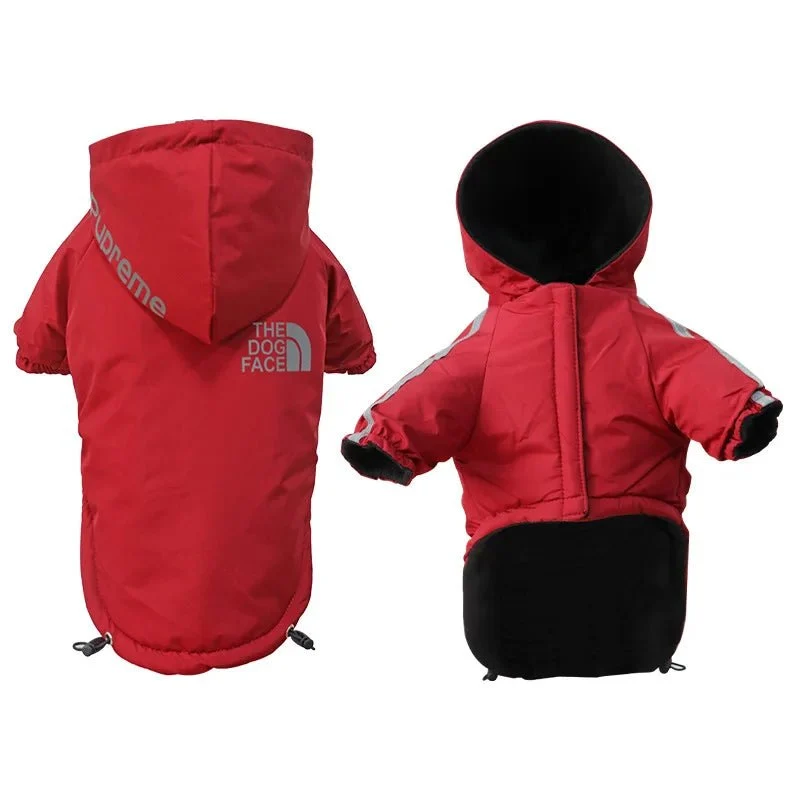 Manteau à capuche chihuahua xxs