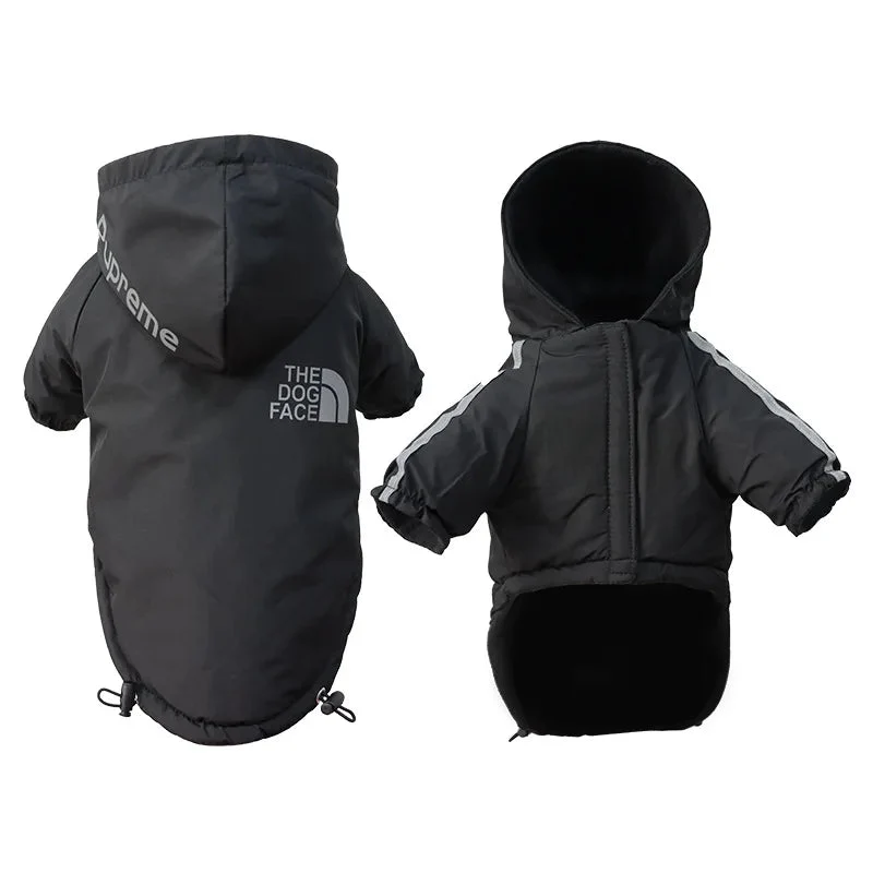 Manteau à capuche chihuahua xxs