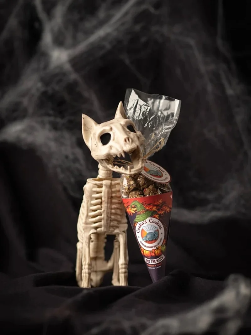 Biscuits Halloween pour chien Kiss the Witch 🧙‍♀️