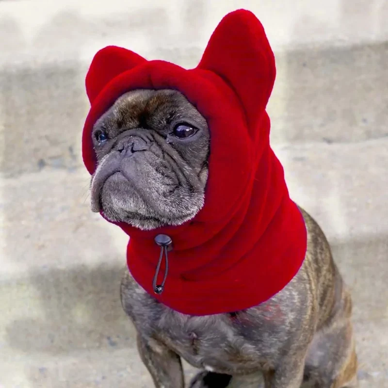 Cagoule chihuahua