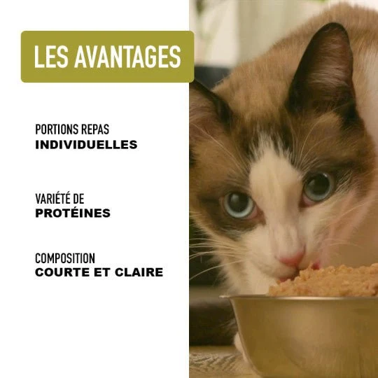 Filets pour chat au poulet et saumon Atavik 🍖 – 66 % de filets