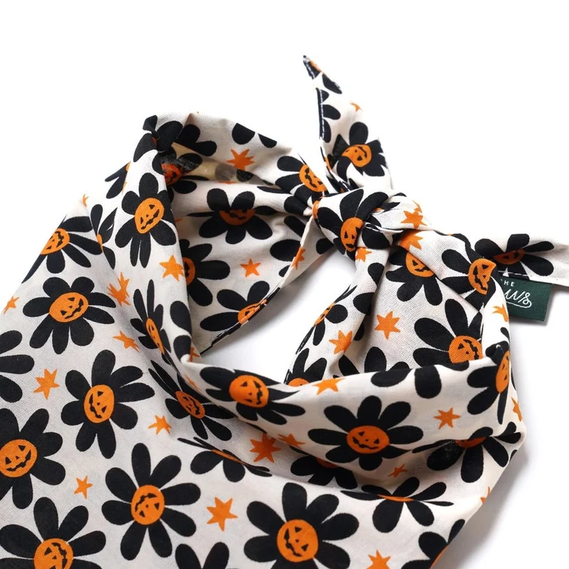 Bandana pour chien Halloween Pétales de citrouille 🎃