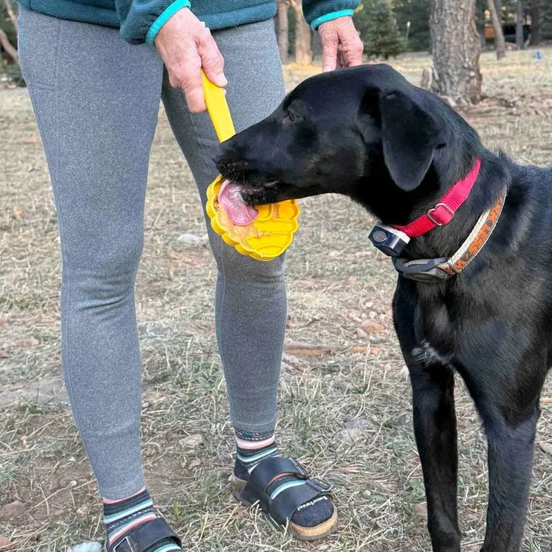 Bâton à lécher pour chien eStick 🐾