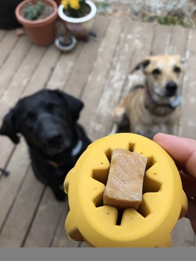 Support bâton de yak chien Gear eDispenser 🦴