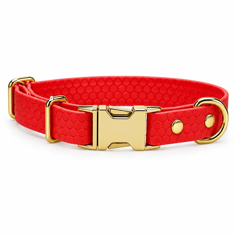 Collier pour chien personnalisé en Hexa 16 mm avec clip sécurisé