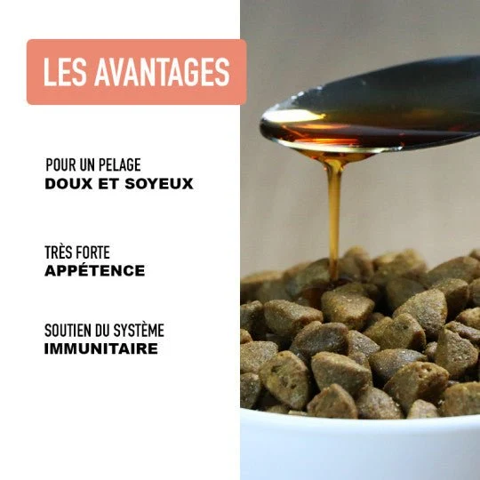 Huile de saumon pour chien et chat peau et pelage Atavik 🐾