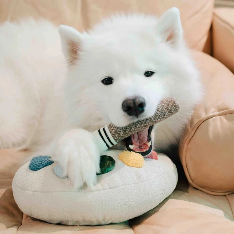 Jouet pour chien palette de couleurs Lambwolf 🎨