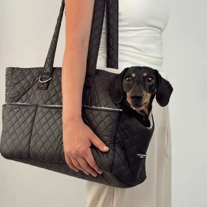 Sac de transport pour chien noir matelassé CocoPup London 🐾