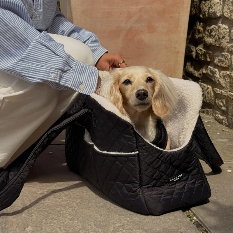 Sac de transport pour chien noir matelassé CocoPup London 🐾