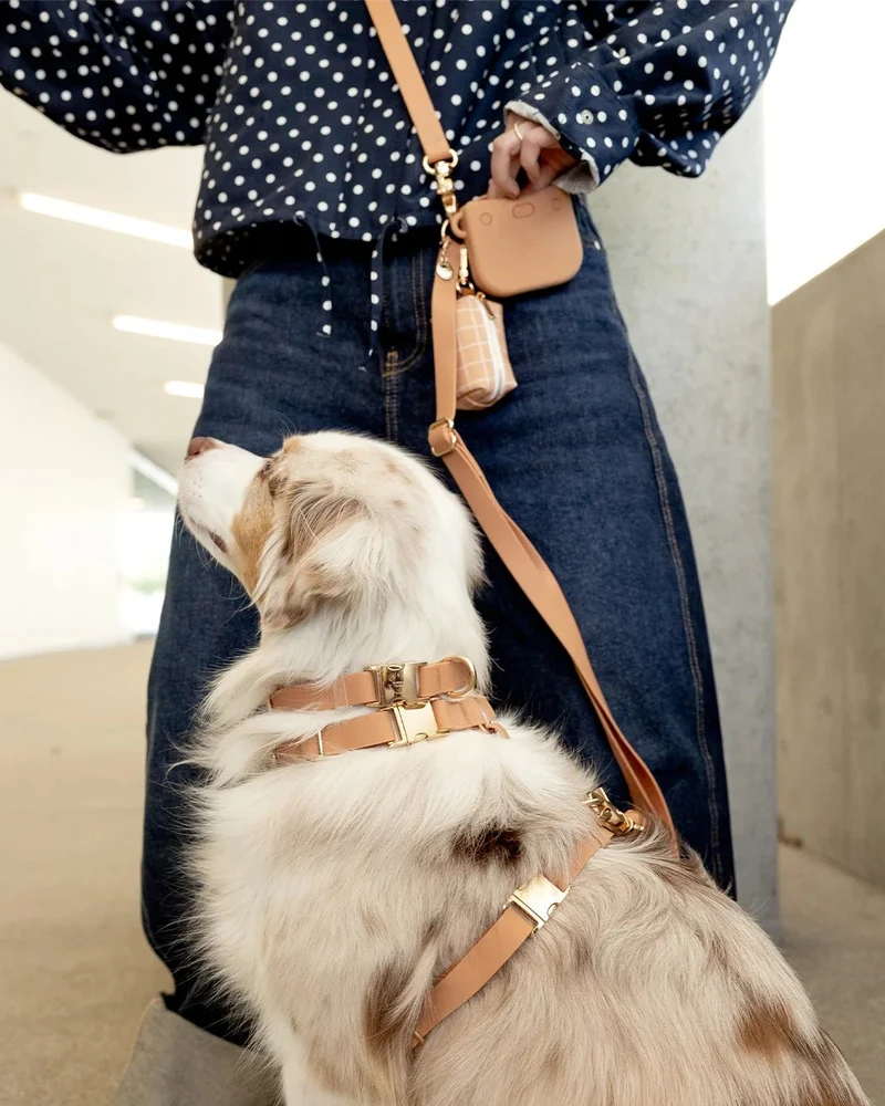 Porte-sacs à déjections pour chien Marron Chaï – Sunny Tails 🐾