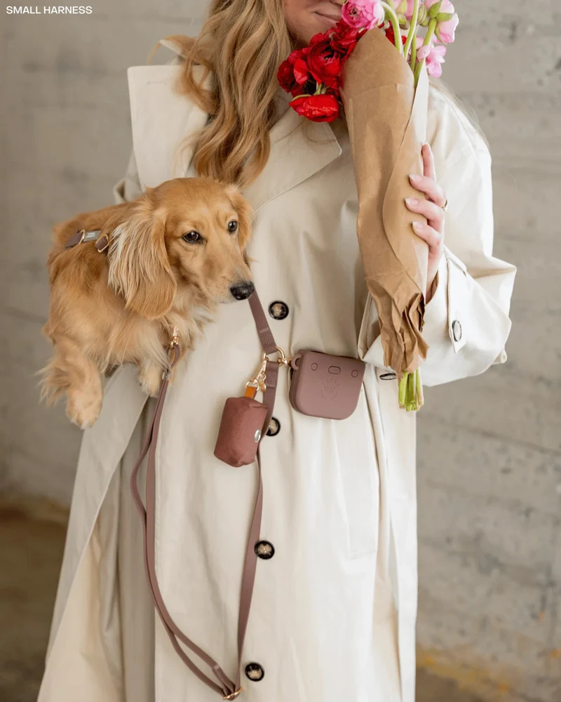Porte-sacs à déjections pour chien Marron Espresso – Sunny Tails 🐾