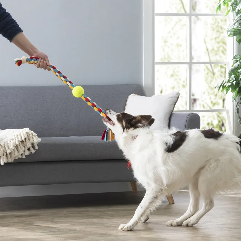 DIY - Jouet pour chien