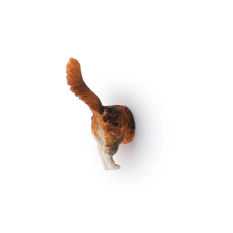 Magnets Derrières de Chats - Lot de 6