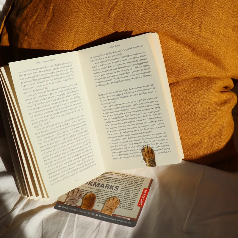 Marque-pages magnétiques pattes de chat