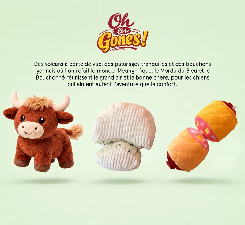 Box jouet pour chien – 2 jouets exclusifs + friandises