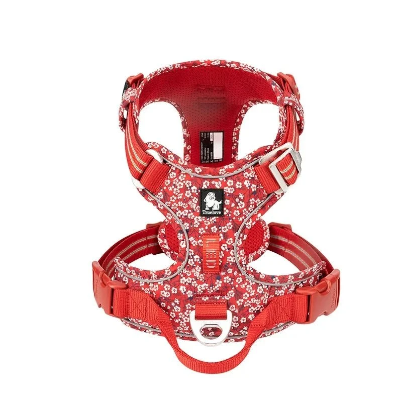 Harnais pour petit chien 2 kg