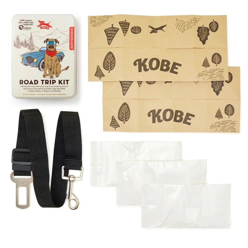 Road Trip Kit