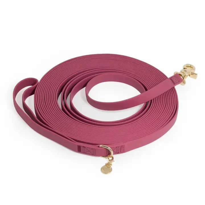 Longe pour chien waterproof Cloud Sunny Tails (plusieurs coloris)