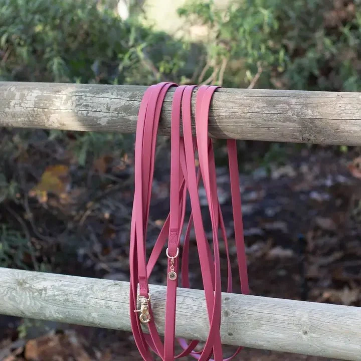 Longe pour chien waterproof Cloud Sunny Tails (plusieurs coloris)