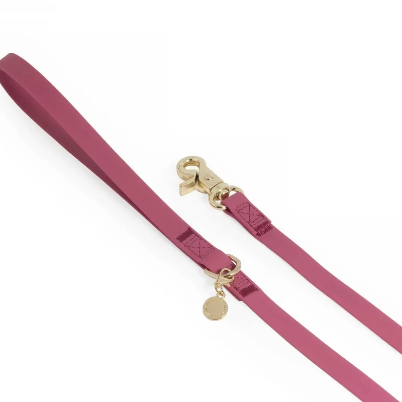 Longe pour chien waterproof Cloud Sunny Tails (plusieurs coloris)
