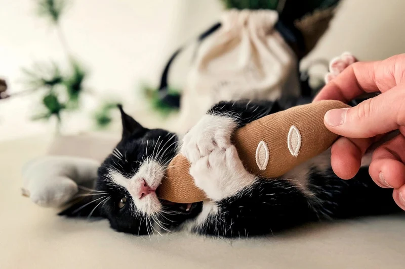 Jouet pour chat Baguette chaude Ecocat 🥖
