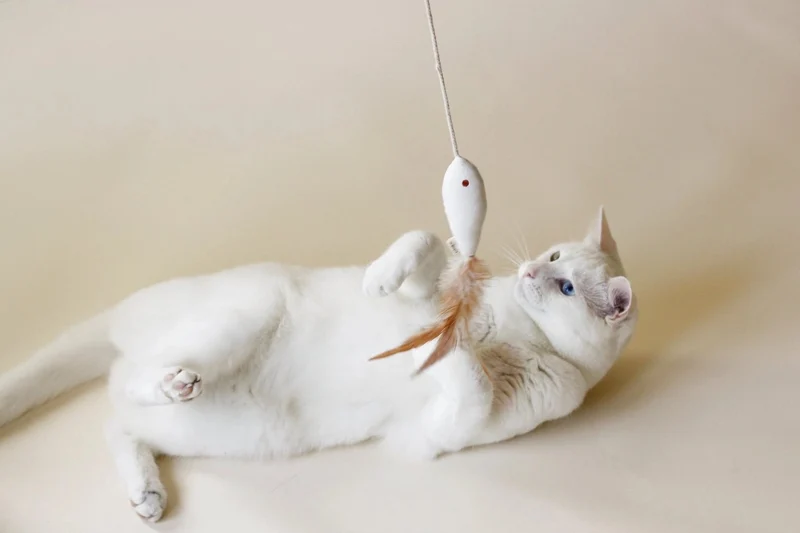 Jouet pour chat Golden Fish Ecocat 🐟