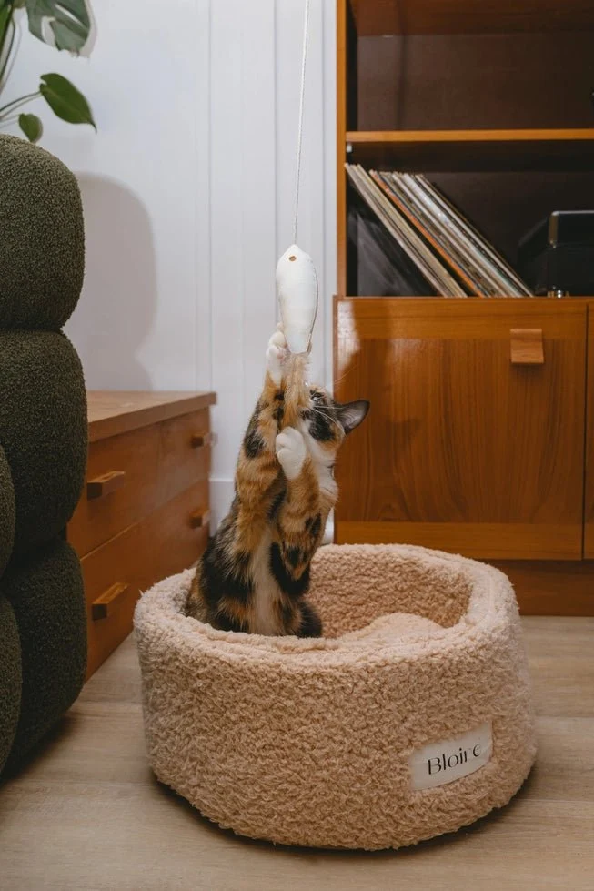 Jouet pour chat Golden Fish Ecocat 🐟