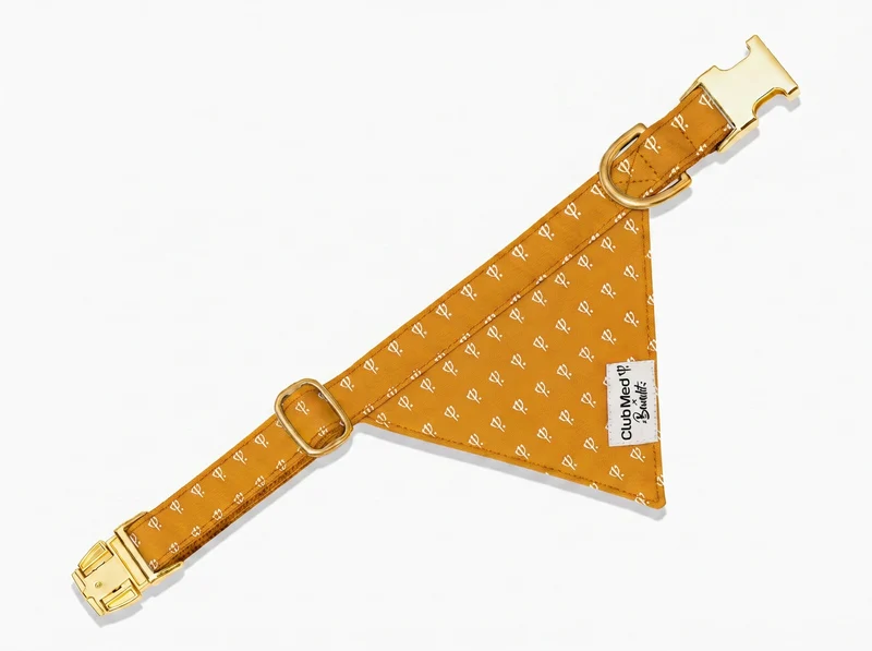 Le duo Club Med x Bandit : Bandana + Laisse